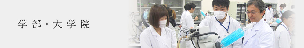 学部・大学院