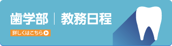 歯学部教務日程