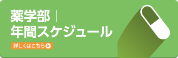 薬学部年間スケジュール