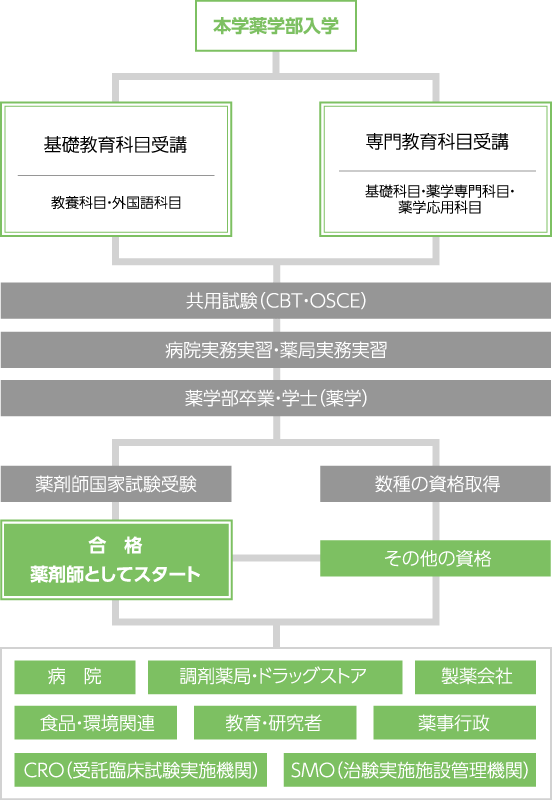 薬剤師になるまで