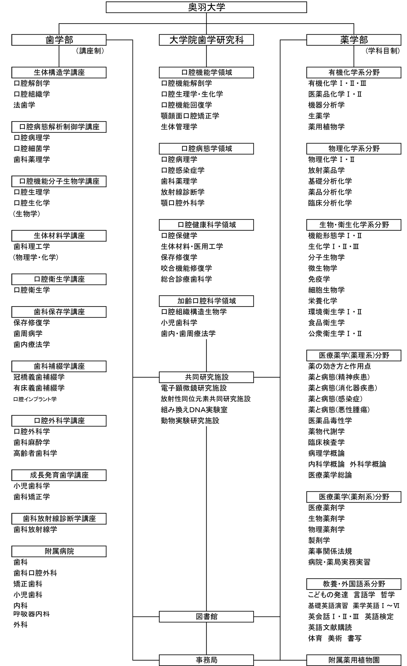 教育研究組織図